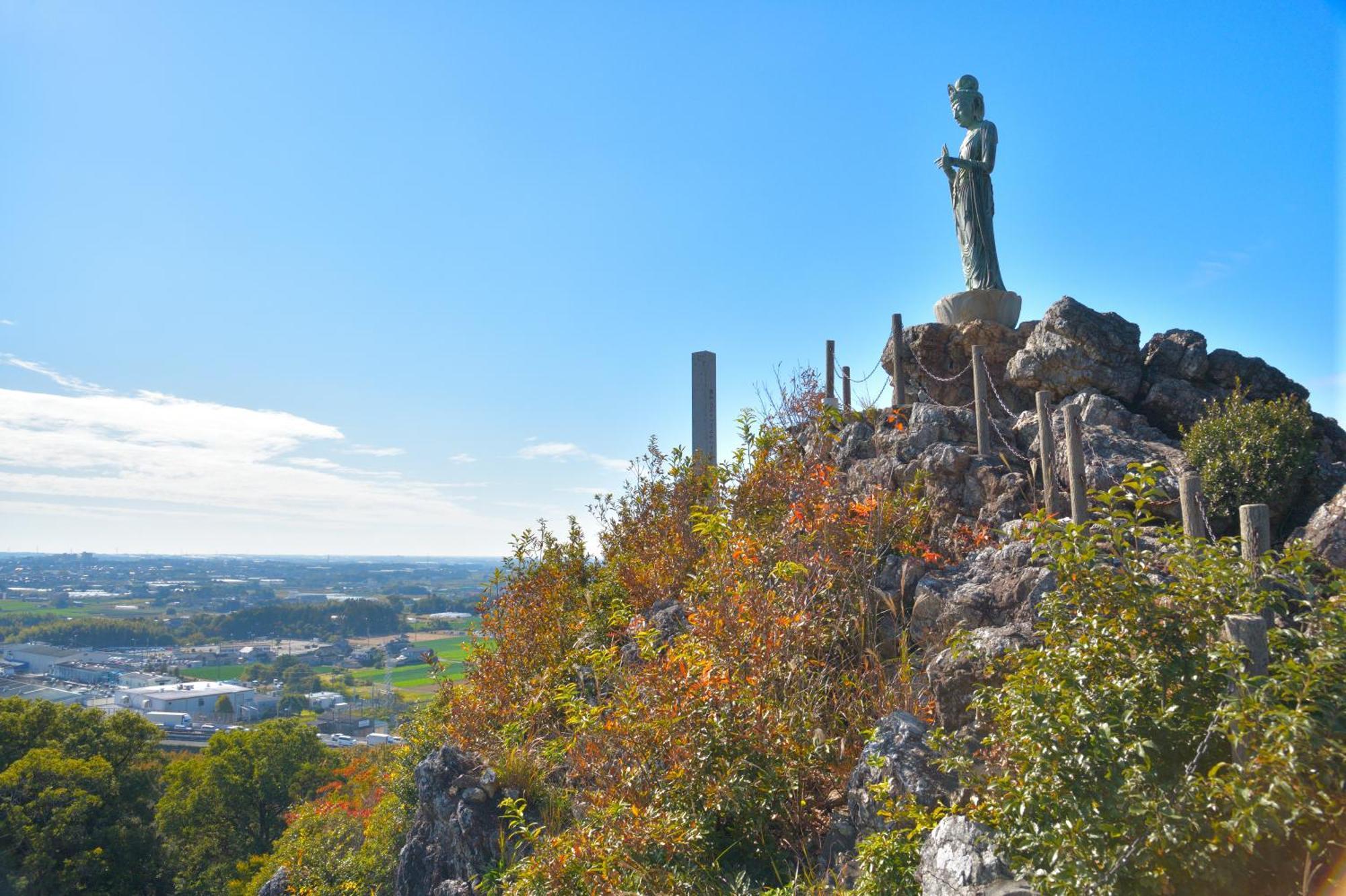 Hotel Associa Toyohashi Ngoại thất bức ảnh Statue of the Buddha on Mount Takami